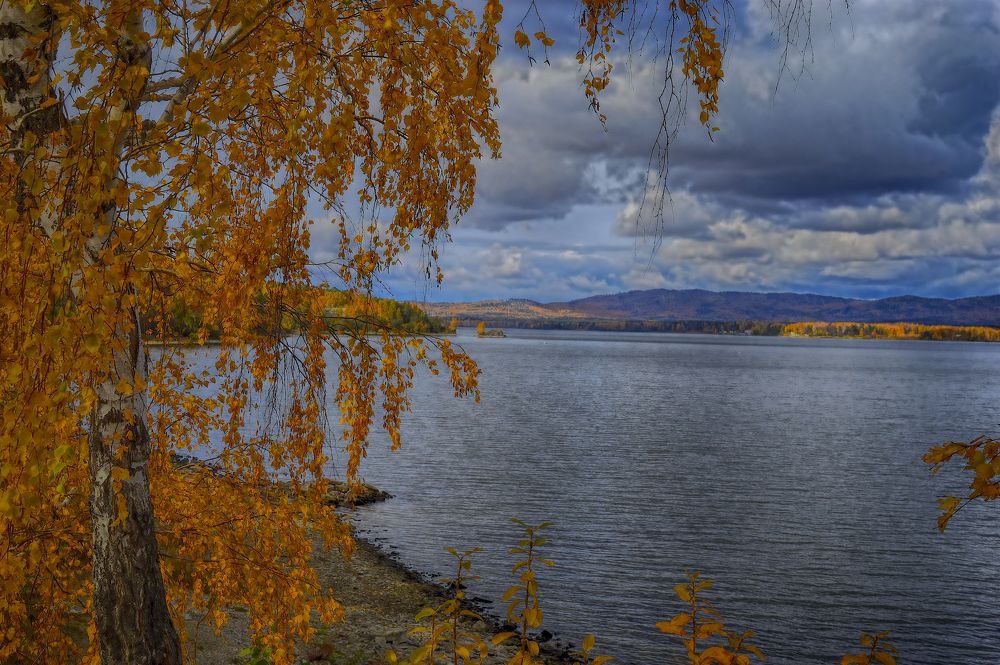 Золото октября