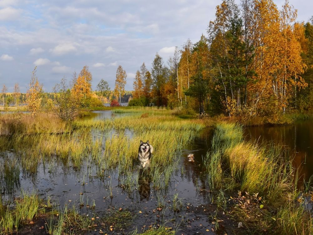 Photograph by Елена Павлова