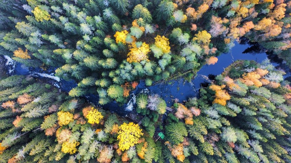 Photograph by Андрей Нурулин