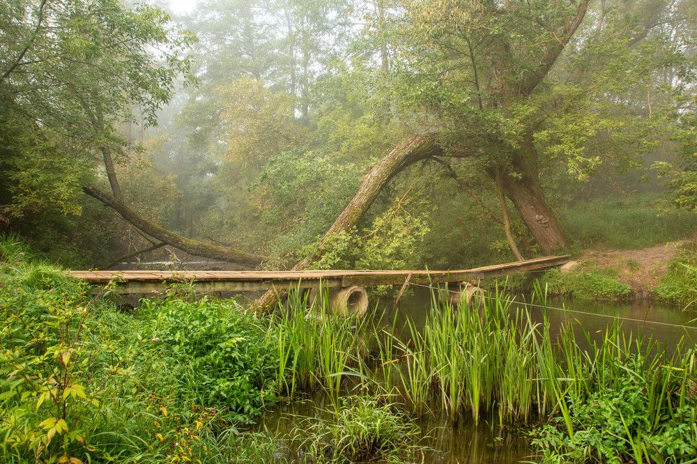 Photograph by Monika 21