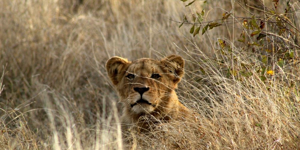 Photograph by Almerie Pretorius