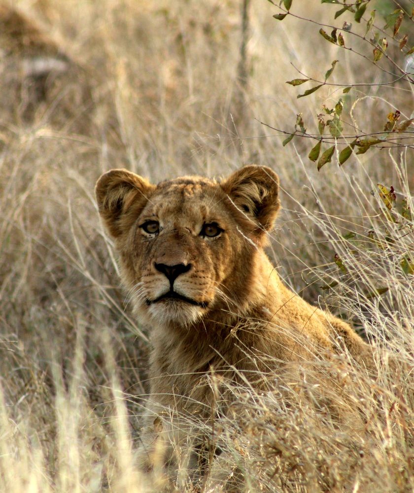 Photograph by Almerie Pretorius