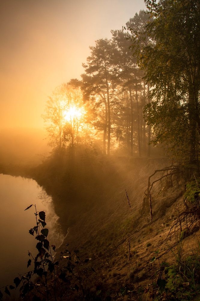 Photograph by Monika 21