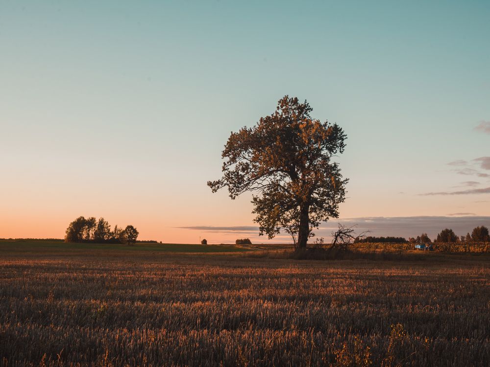 Photograph by Aliaksei Shandalin