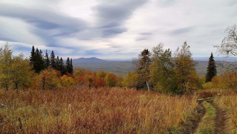 Photo #6549763