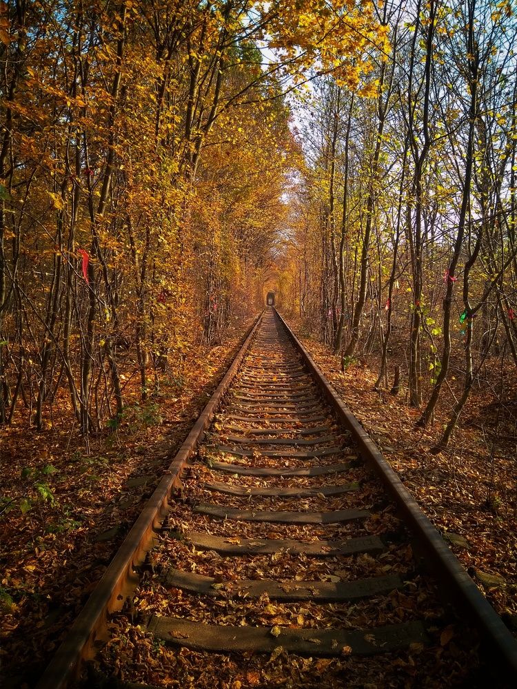 Photograph by Люба