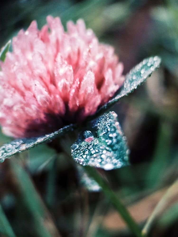 Photograph by Ольга Юминова