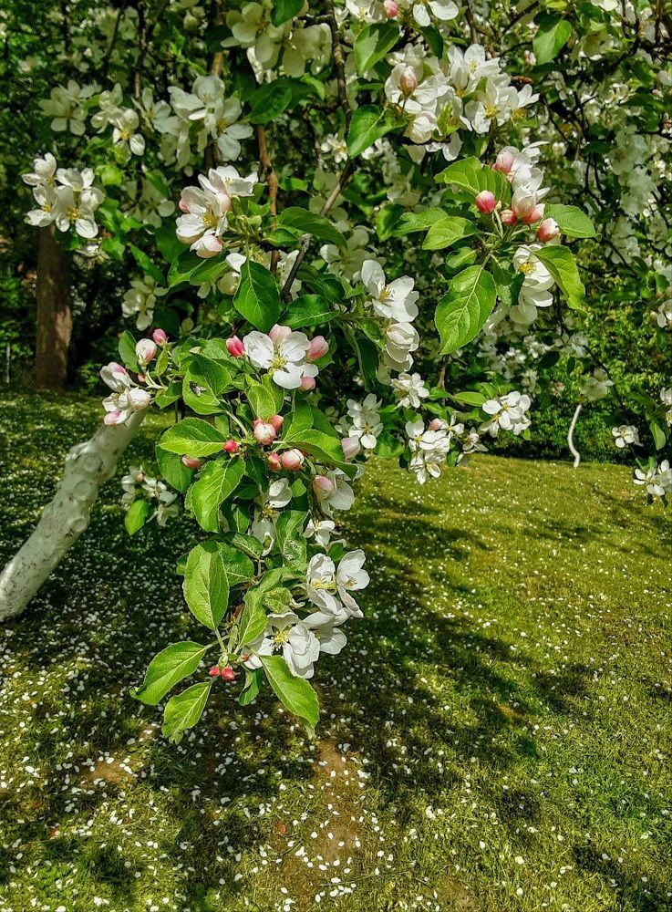 Photograph by Елена Шерман