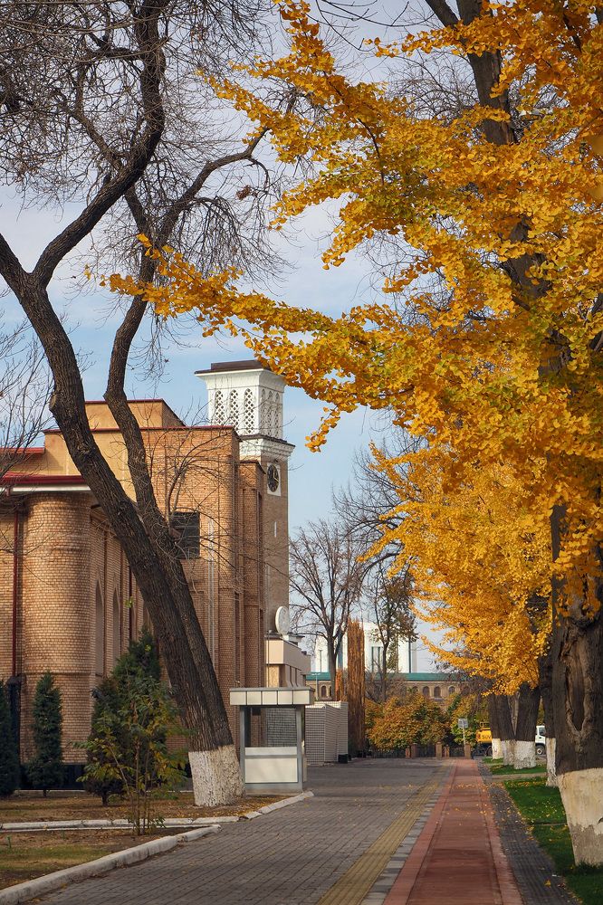 Ноябрь в Ташкенте