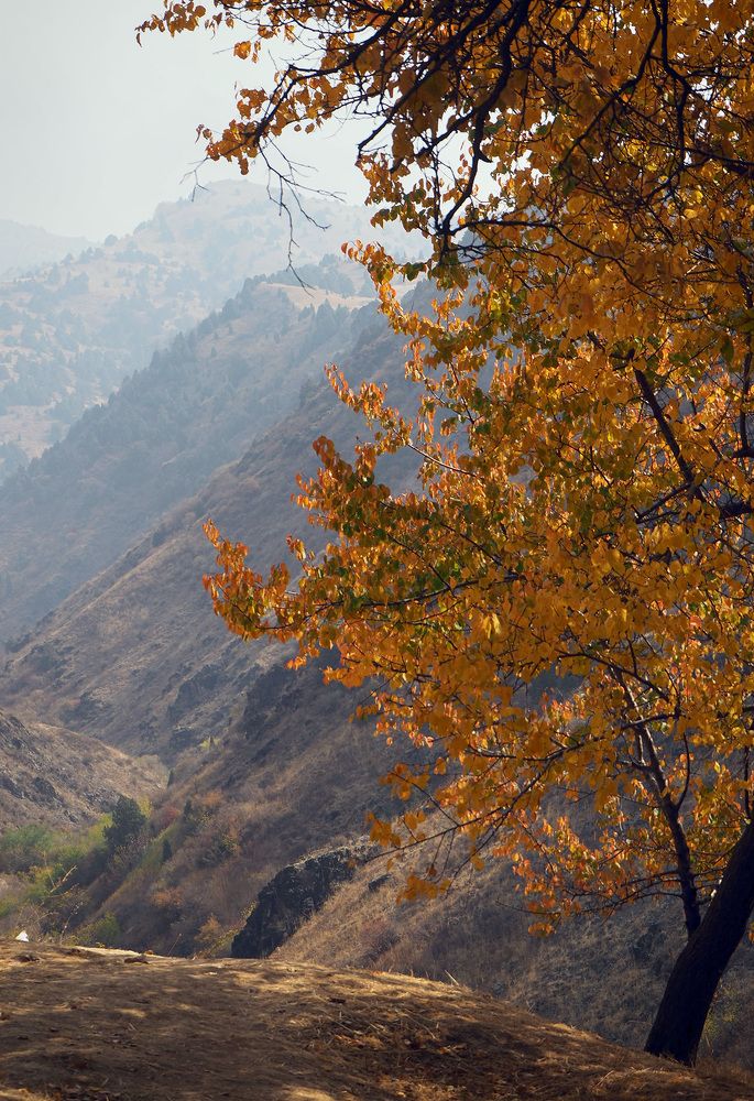 Photograph by Наталья Буторина