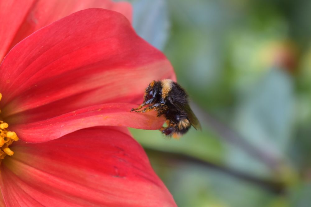 Photograph by Сергей Головин