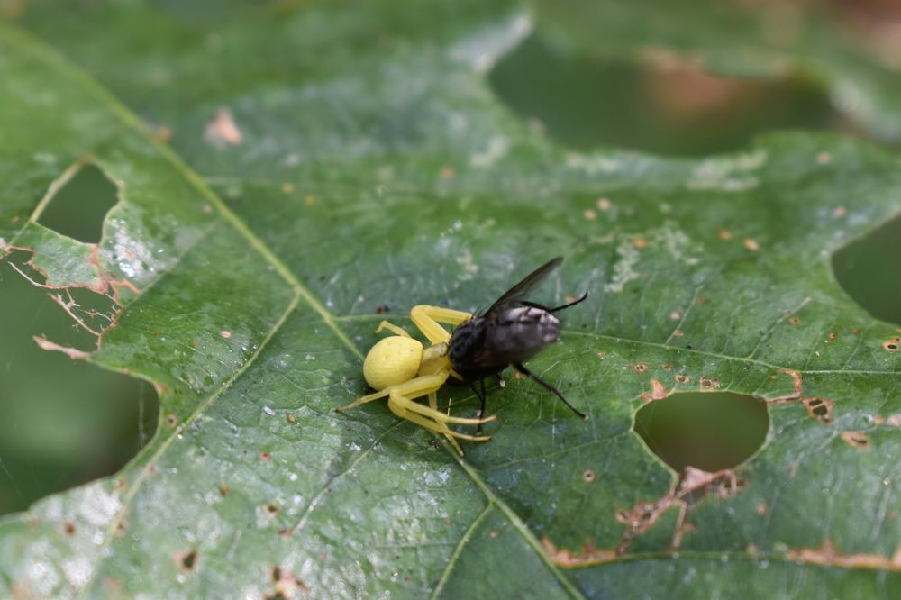 Photograph by Сергей Головин