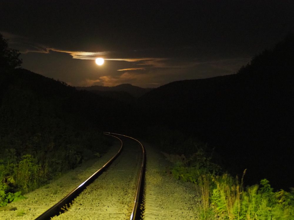 Фотография автора Olena Vorotyntseva