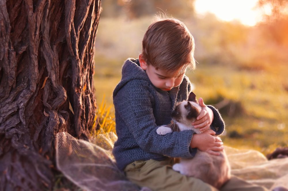 Photograph by Елена Колесникова