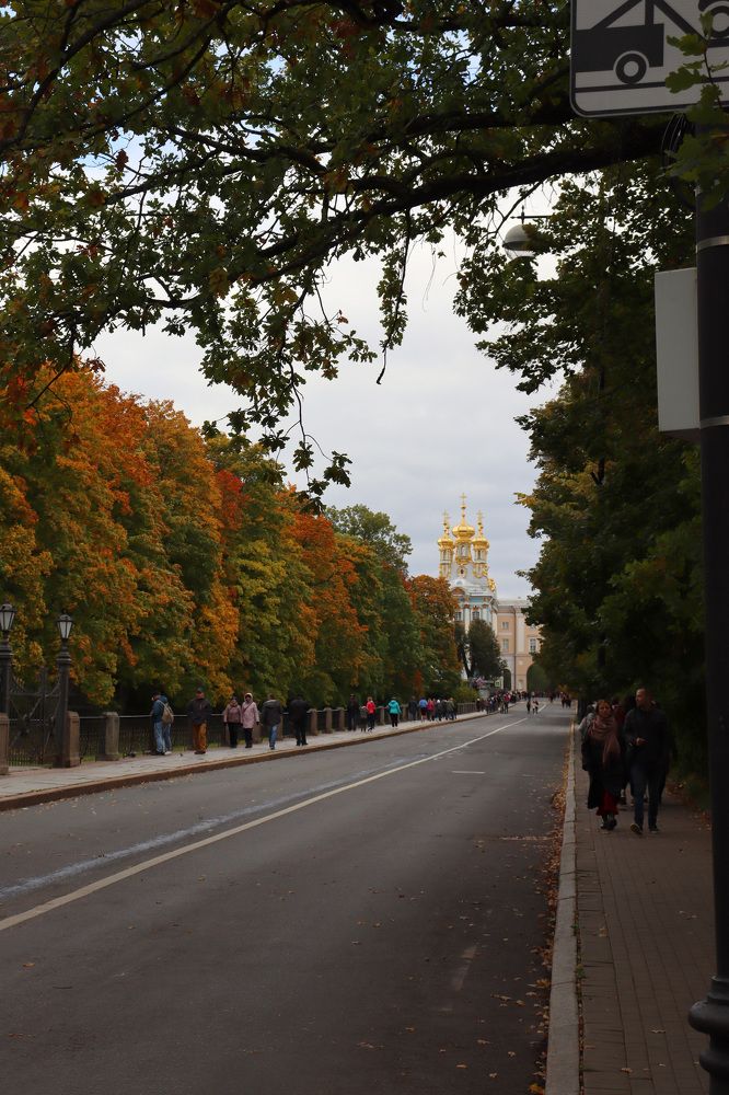 Осень. Царское село. Лицейские цвета.