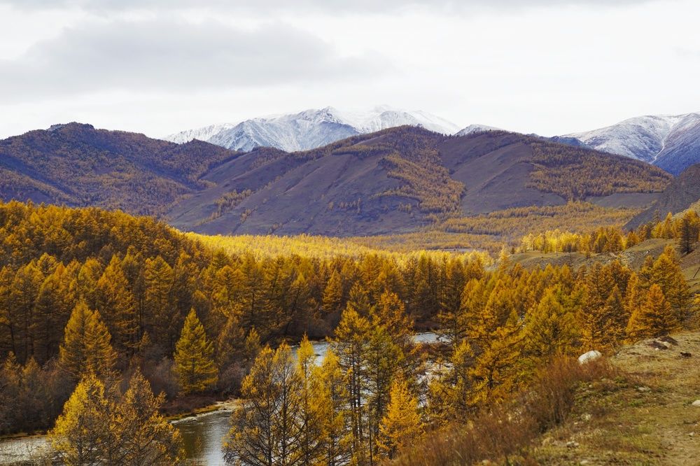 Затерянная Шамбала