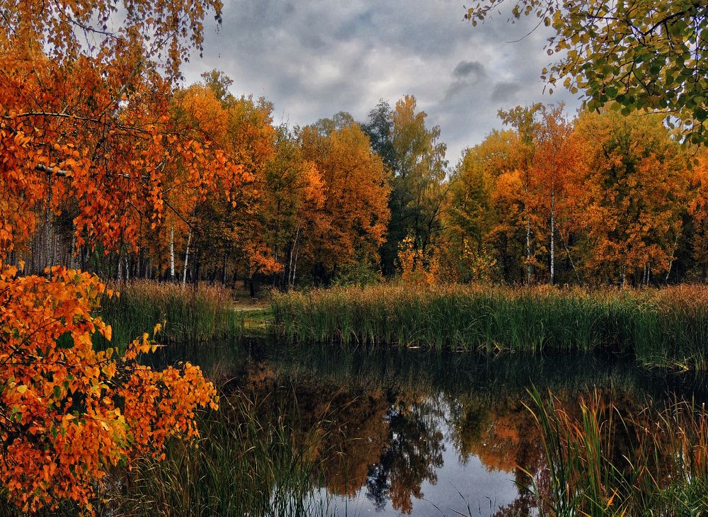 Photograph by Роман Савоцкий