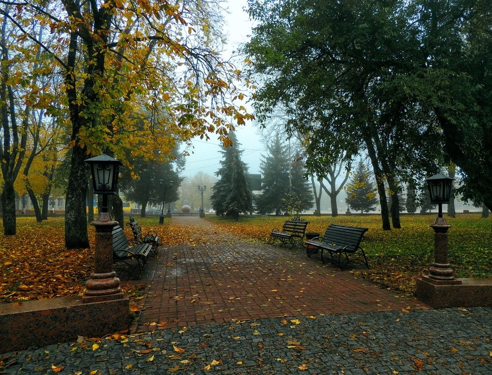 Photograph by Роман Савоцкий