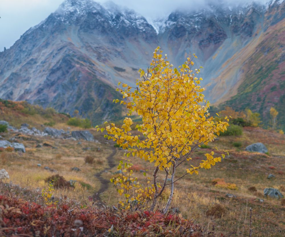 Осенний наряд