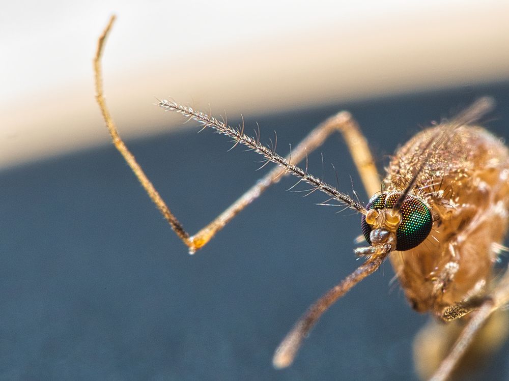 Photograph by Georgios Pallas