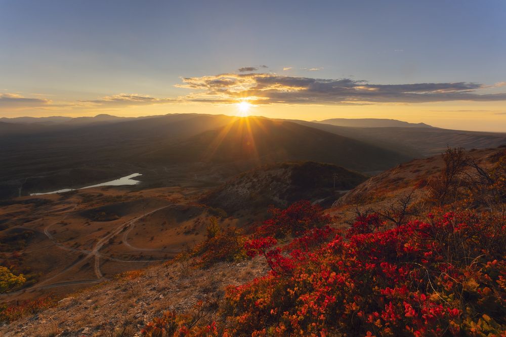 Photograph by Юлия Шумляева