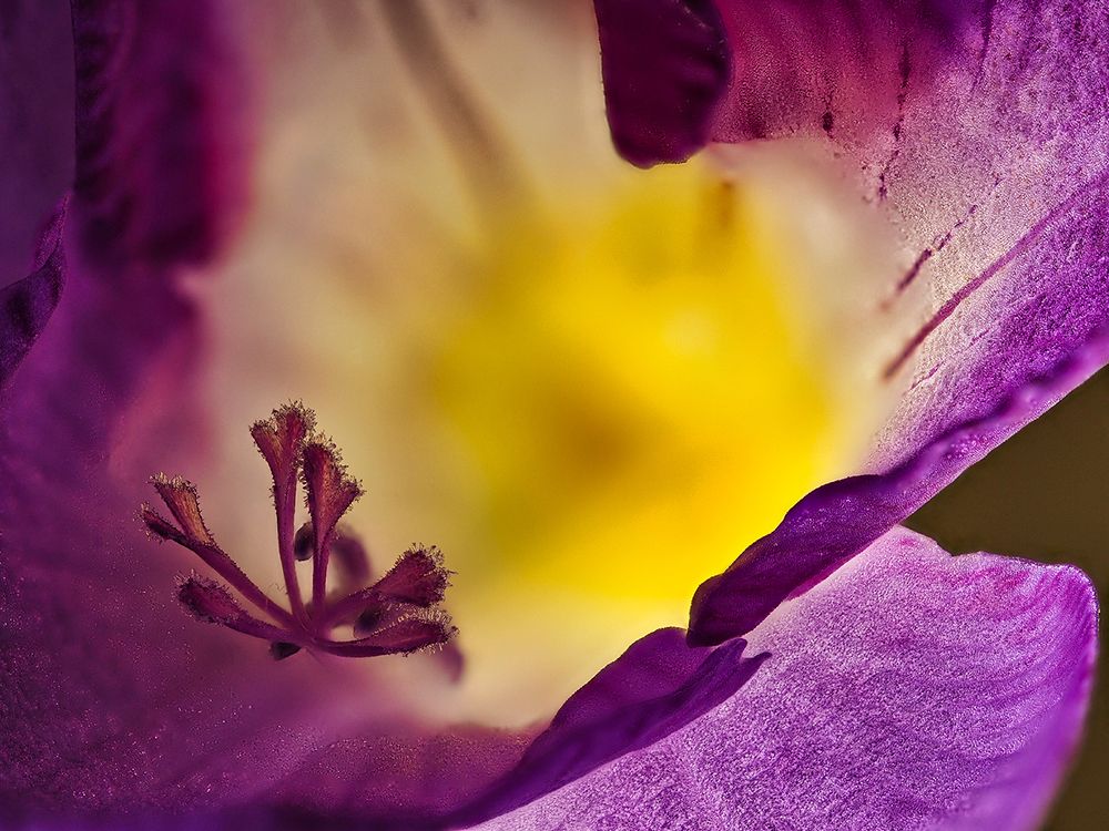 Photograph by Georgios Pallas