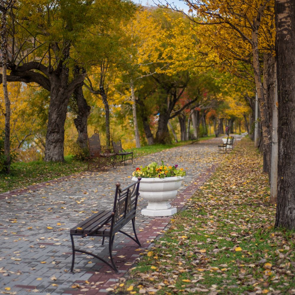 Осенняя аллея