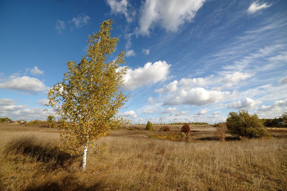 Photograph by Владимир Щеголев
