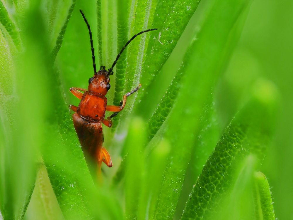 Photograph by Georgios Pallas