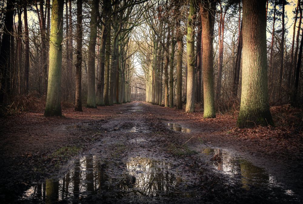 Photograph by Jacky Weckx