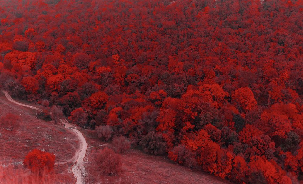 Photograph by Анна Пашко