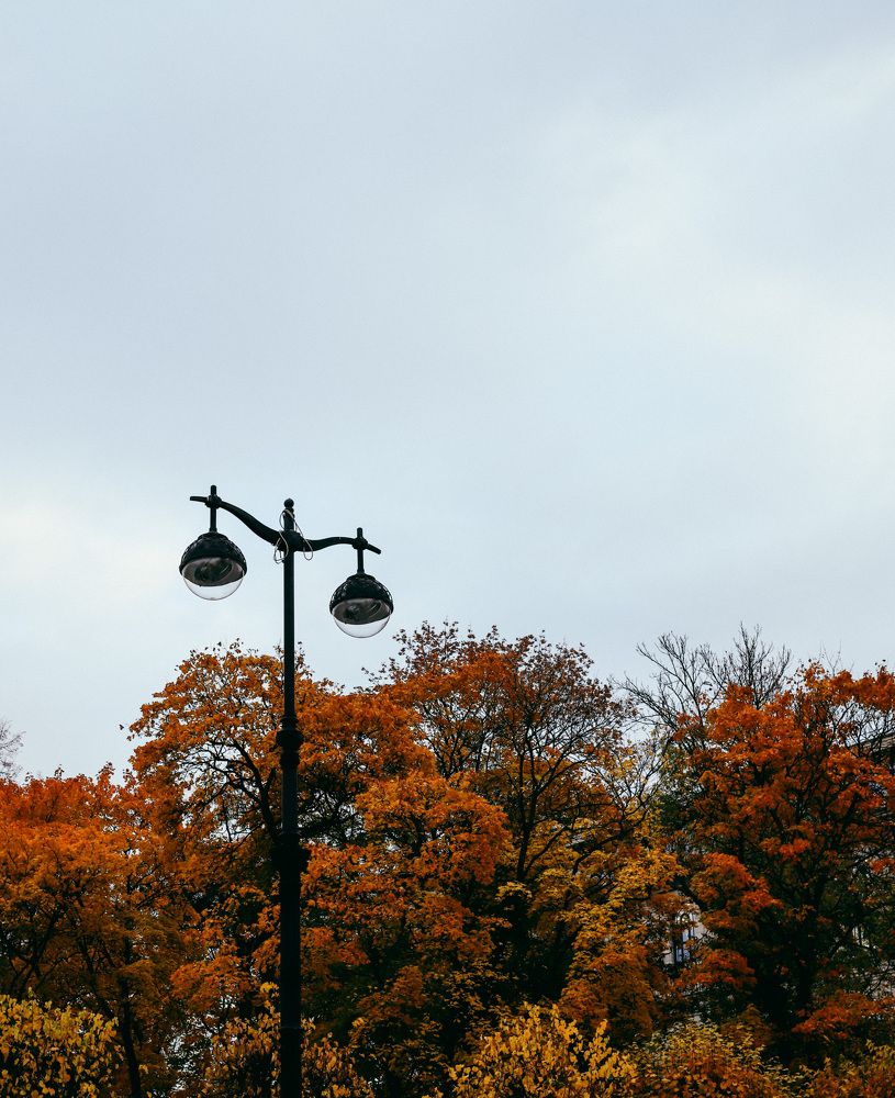 Photograph by Анастасия Гончарова