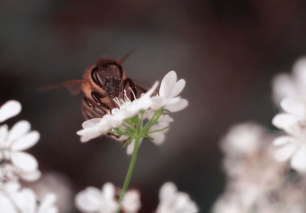 Photograph by Татьяна Новина