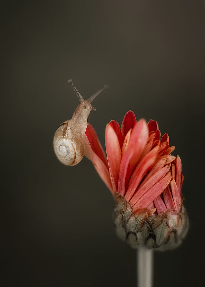 Photograph by Татьяна Новина