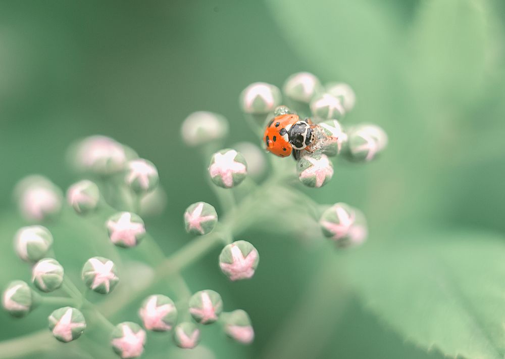 Photograph by Татьяна Новина