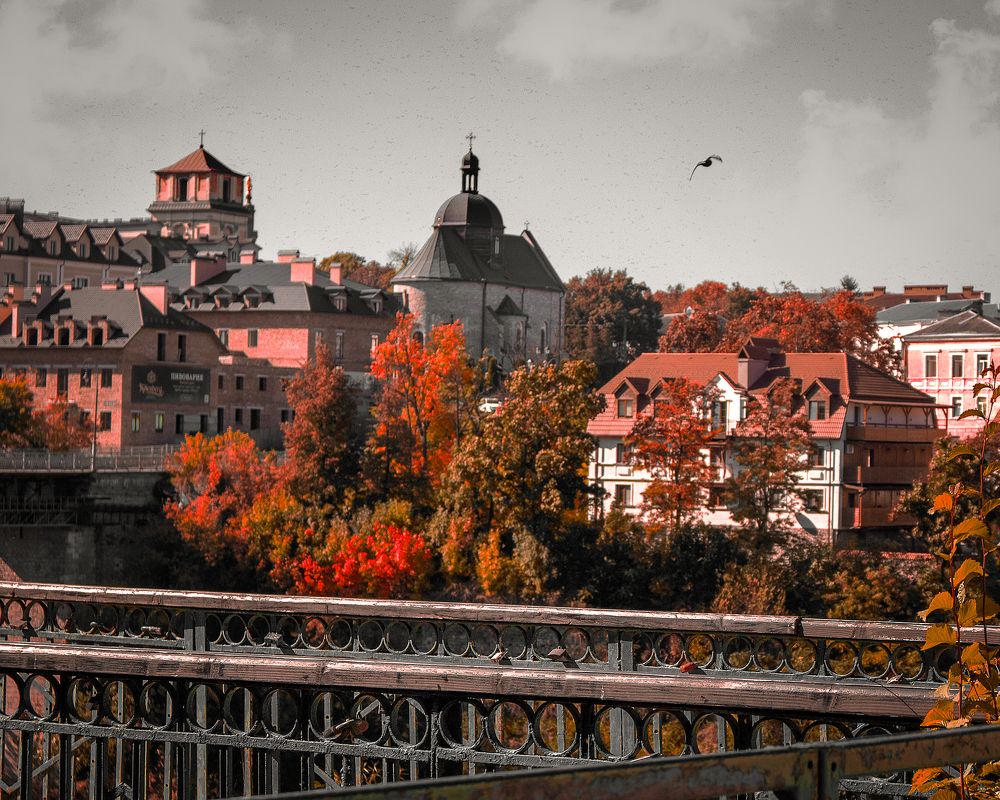 Photograph by София София