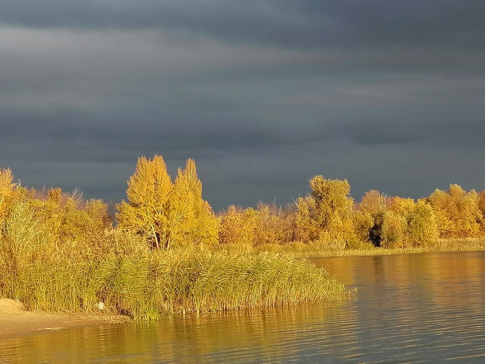 Photo #6550281