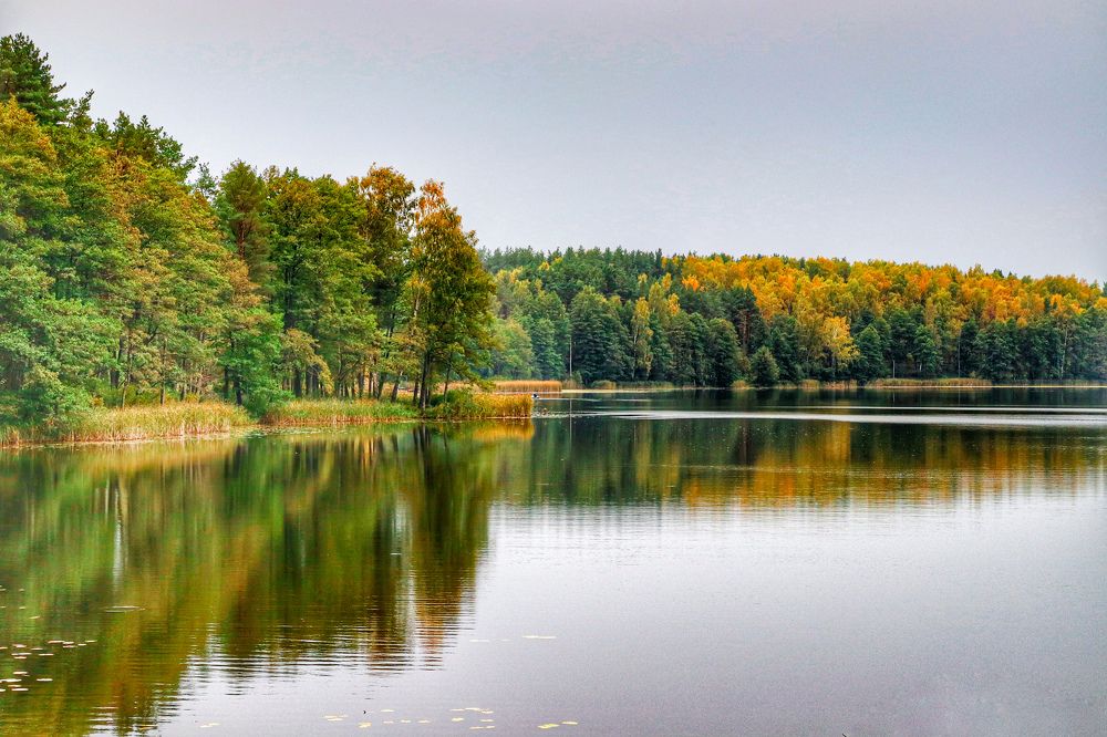 Photograph by Светлана Беспалко