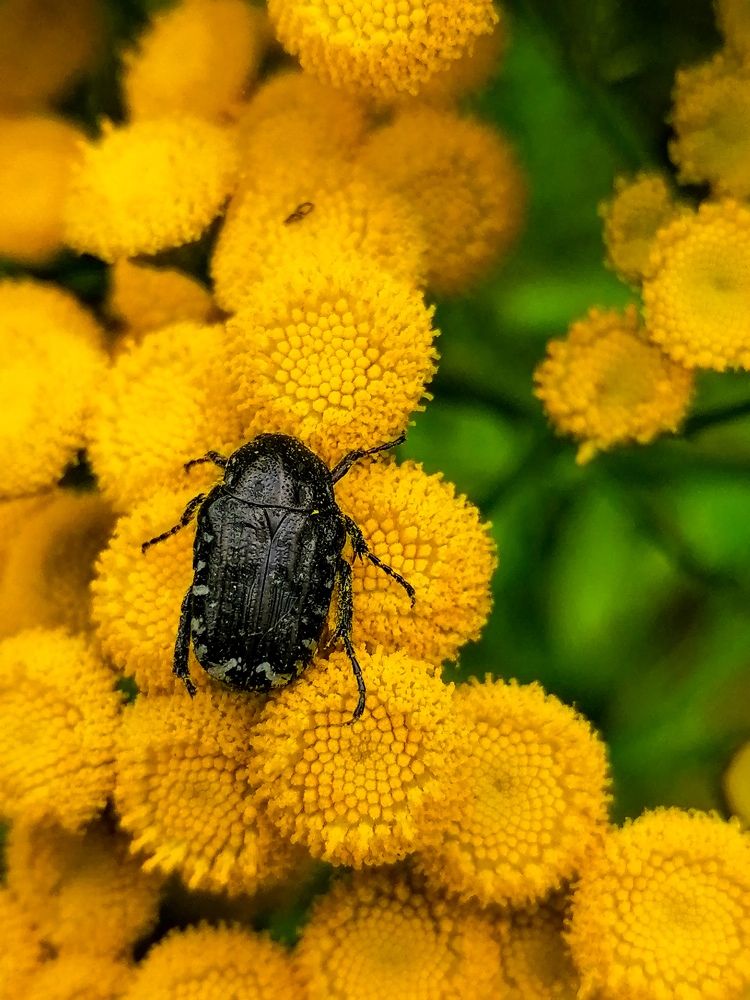 Photograph by Станислав Евсеев