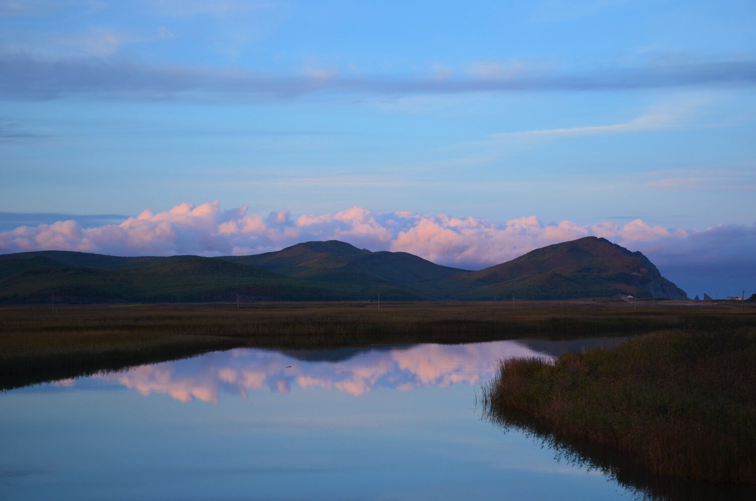 Photo #6550296