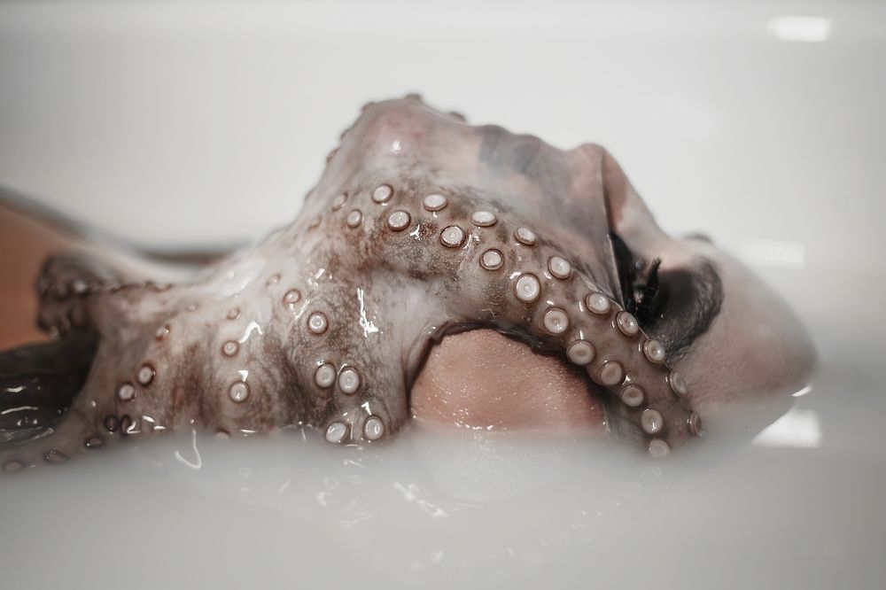 Photograph by Дарья Докучаева