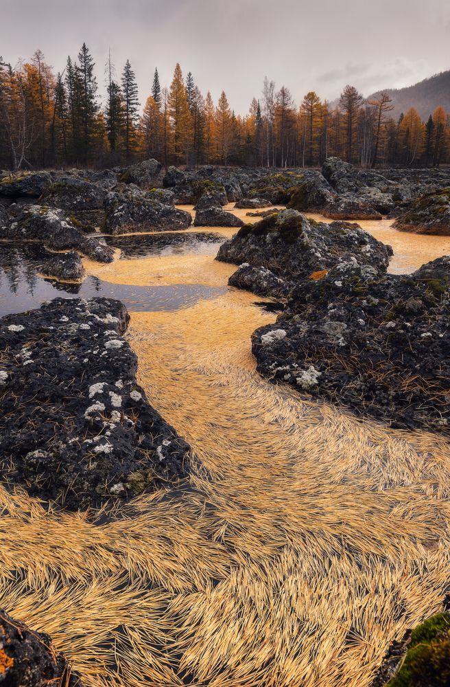 Золотое покрывало