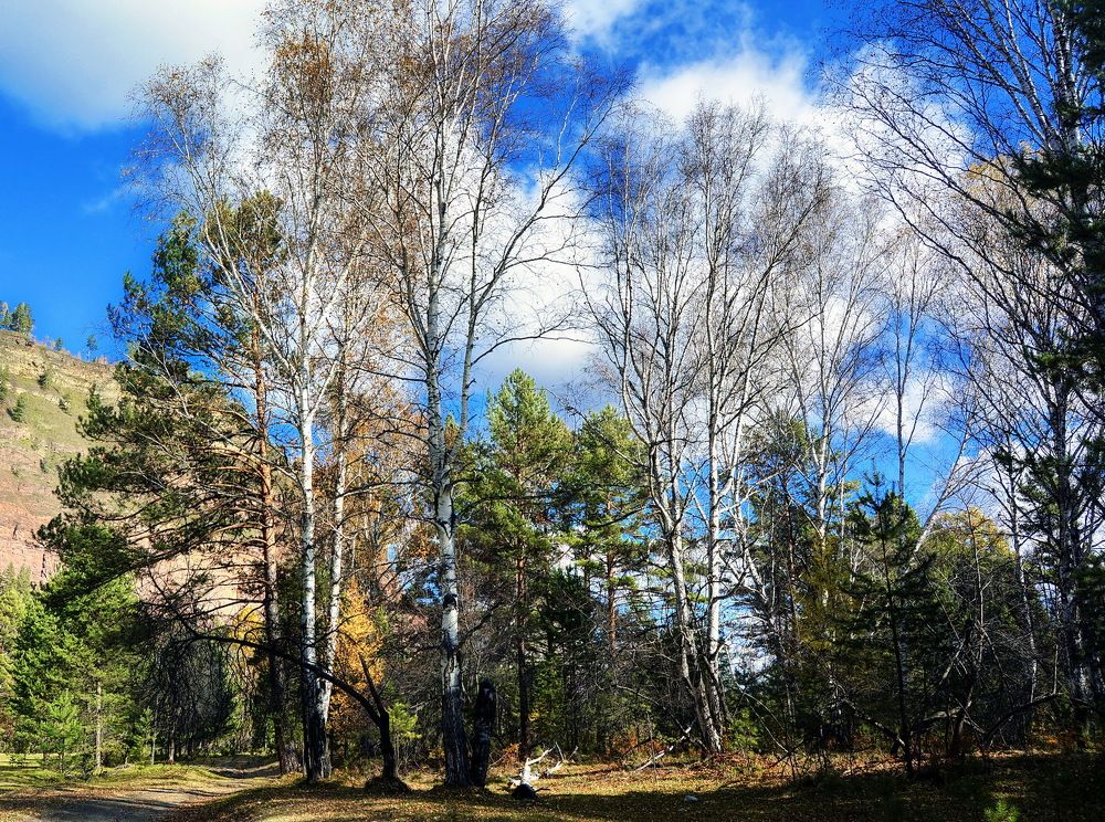 Photograph by Юрий Назыров