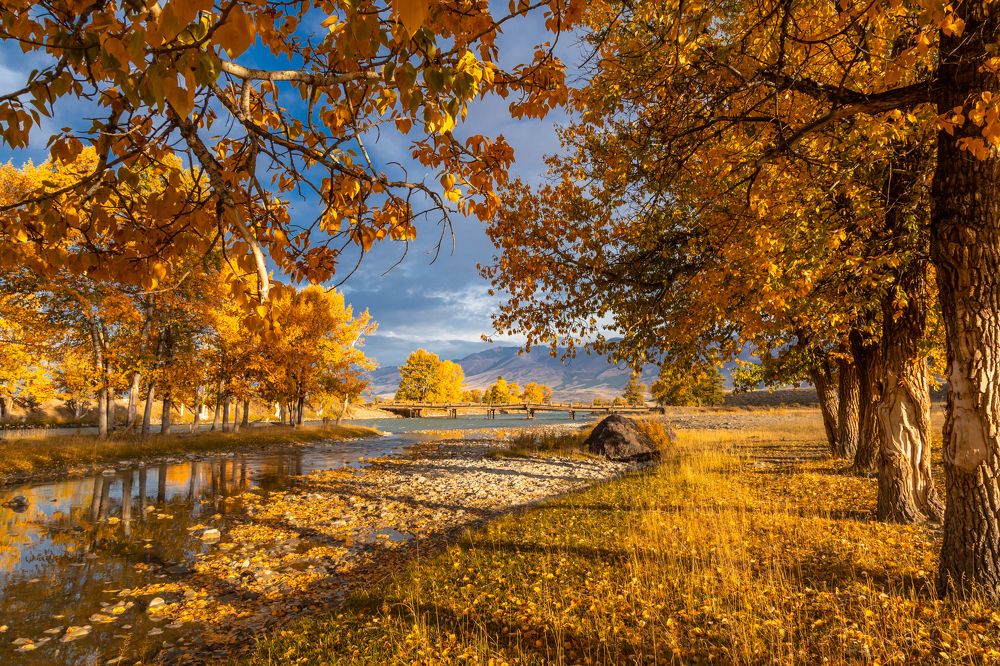 Photograph by Сергей Гук