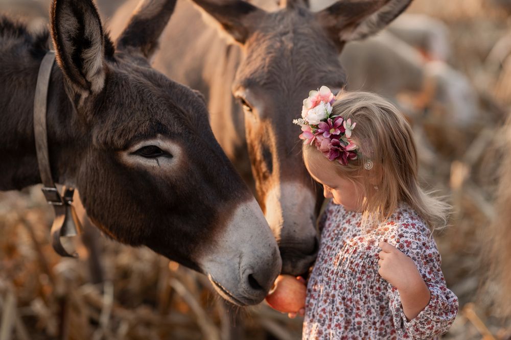Photograph by Oksana Giugni (Boltenkova)