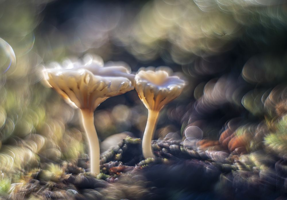 Photograph by Юрий Чернов