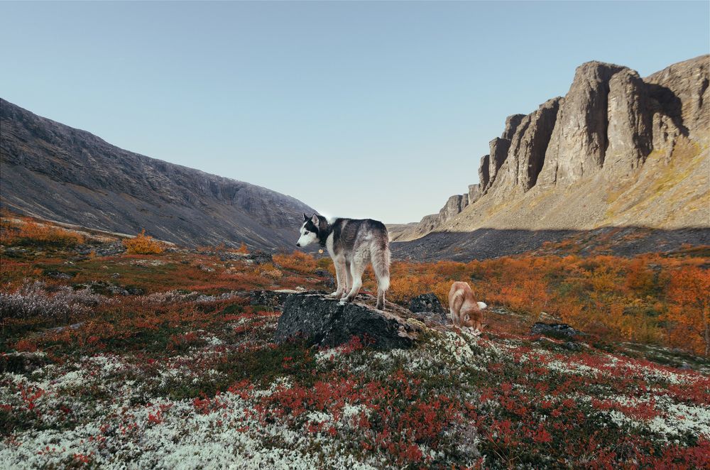 Чивруайские столбы