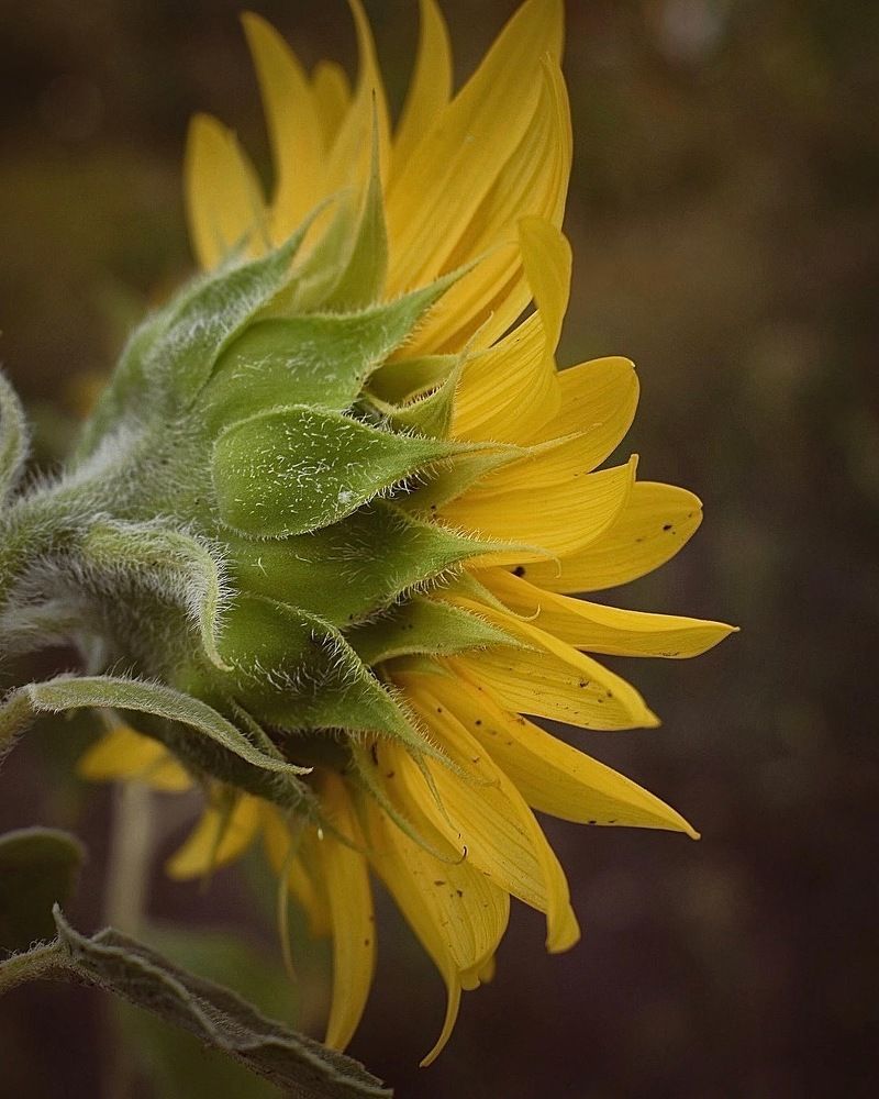 Photograph by Kira Bahvalova