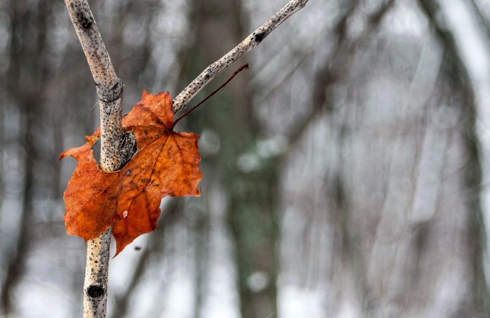 Photograph by Виталий Слёзка