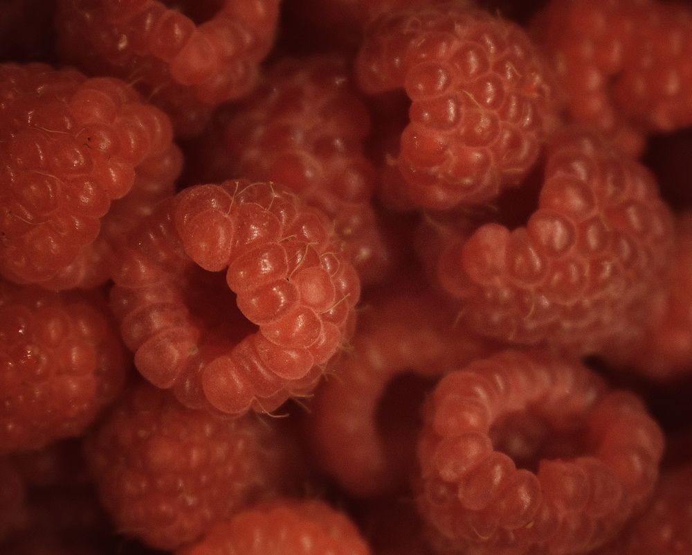 Photograph by Kira Bahvalova